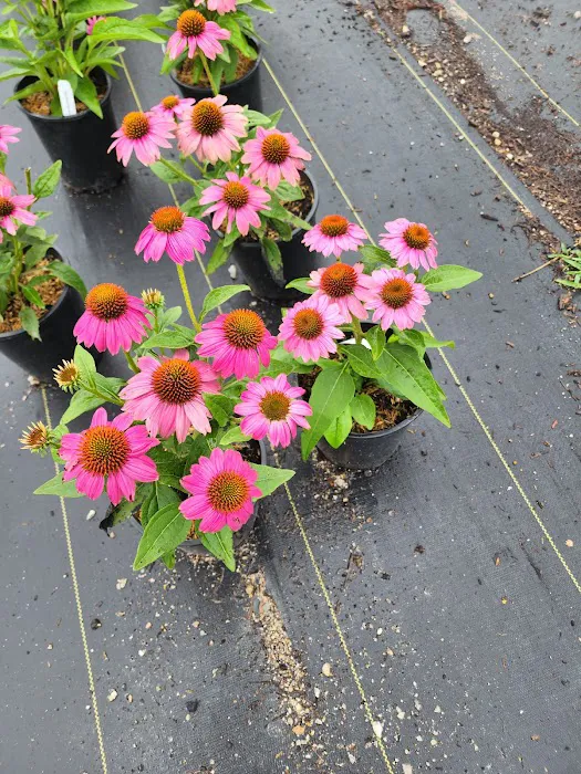 Atwood's Landscape Supply Picture 6