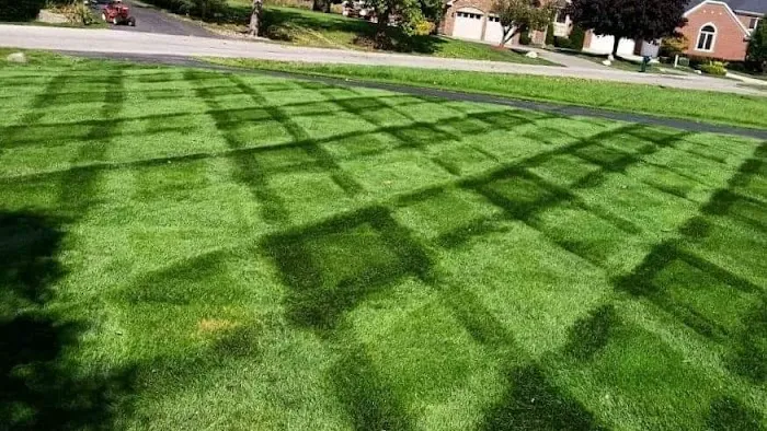 Downings Lawn Care & Snow Removal Picture 3