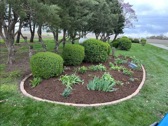 Roger Landscaping and Lawn and Paver Services Picture 2