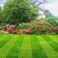 Red Dog Lawncare & Ext. Remodeling ico