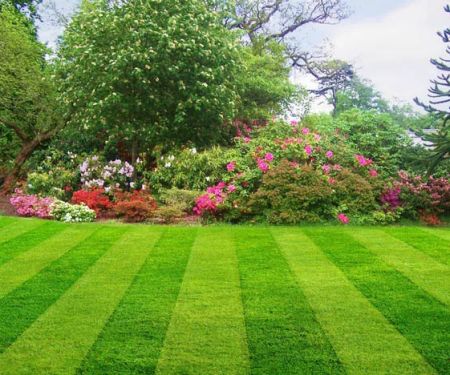 Red Dog Lawncare & Ext. Remodeling