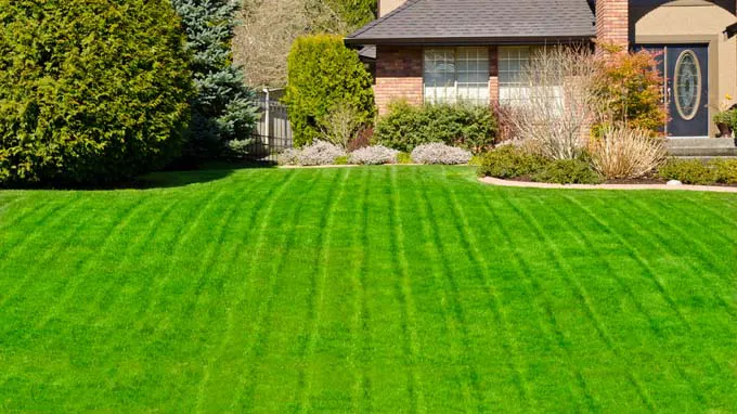 Red Dog Lawncare & Ext. Remodeling Picture 7