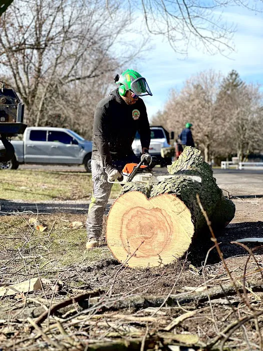 Bud's Tree Care Picture 2