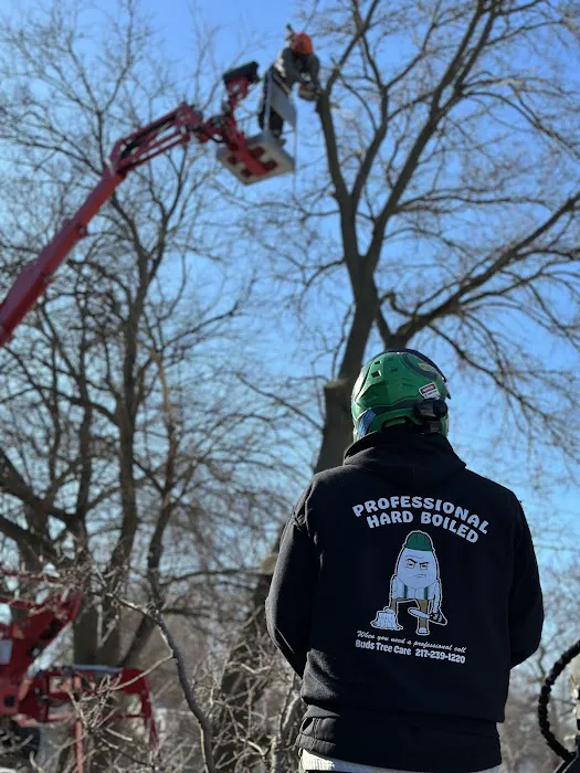 Bud's Tree Care Picture 6