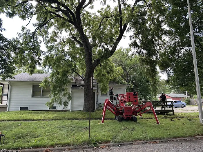 Bud's Tree Care Picture 4