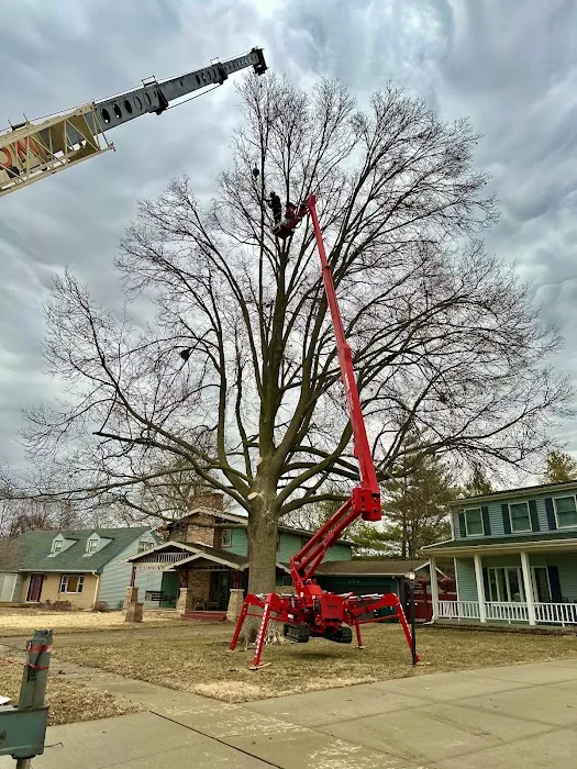 Bud's Tree Care Picture 7