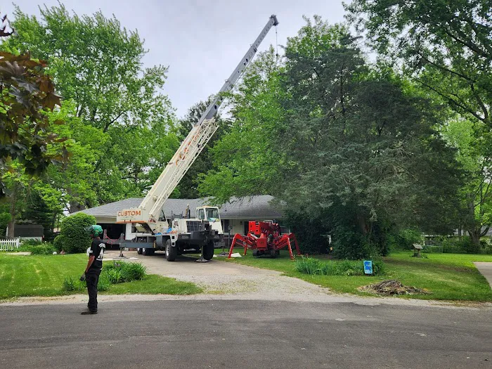 Bud's Tree Care Picture 3