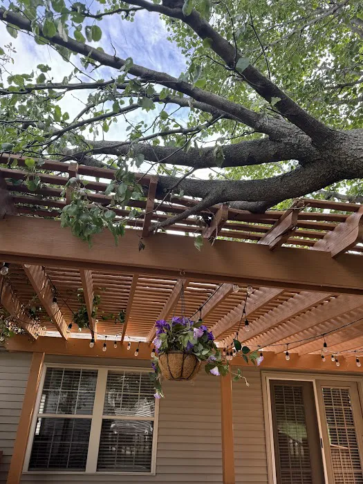 Bud's Tree Care Picture 9