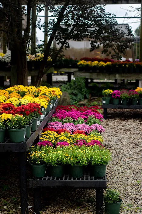Country Arbors Nursery Picture 3