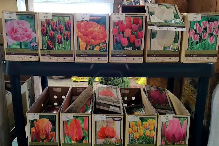 Country Arbors Nursery Picture 1
