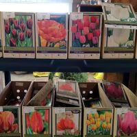 Country Arbors Nursery ico