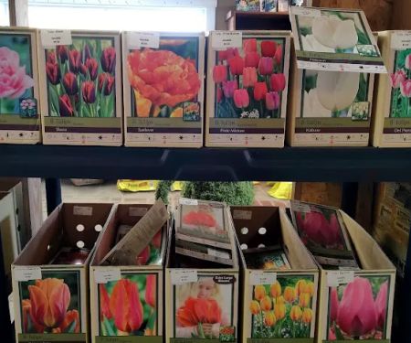 Country Arbors Nursery