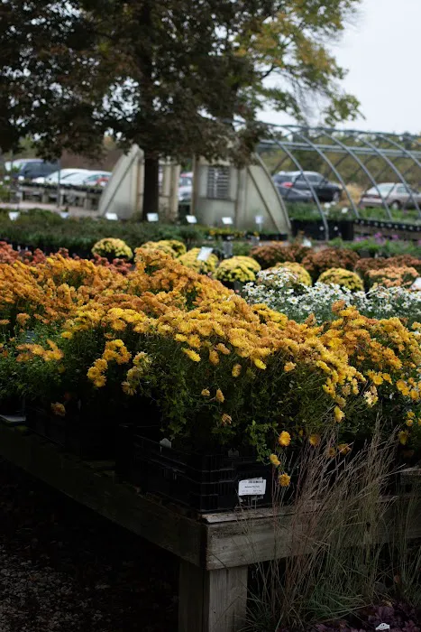 Country Arbors Nursery Picture 2