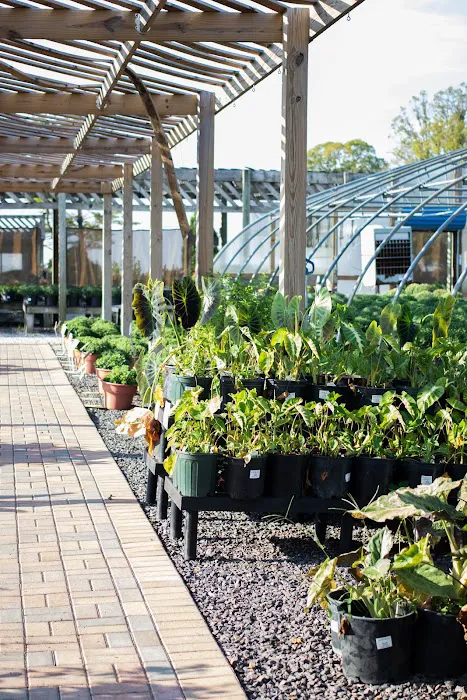 Country Arbors Nursery Picture 8