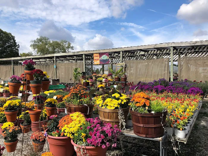 Country Arbors Nursery Picture 10