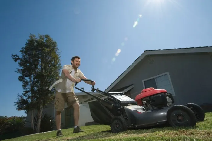 Champaign Lawn Care & Landscaping Services Picture 1