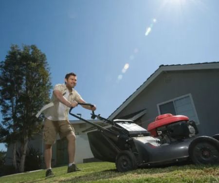 Champaign Lawn Care & Landscaping Services