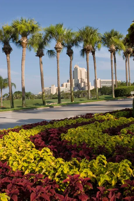 Champaign Lawn Care & Landscaping Services Picture 6