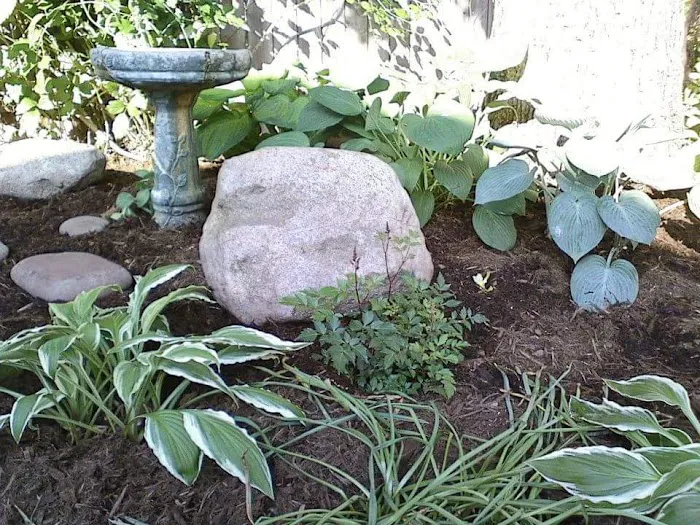 RPM Improvement Outdoor Services LLC Picture 5