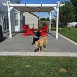 Jon Gross Building Arts