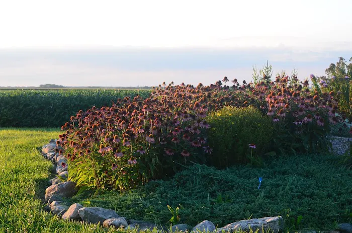 Merrill Landscape Services Picture 5