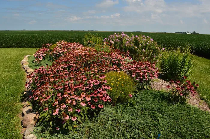 Merrill Landscape Services Picture 6