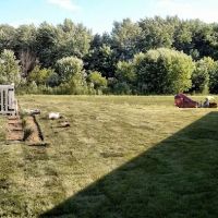 Green Light Lawn Care Inc ico