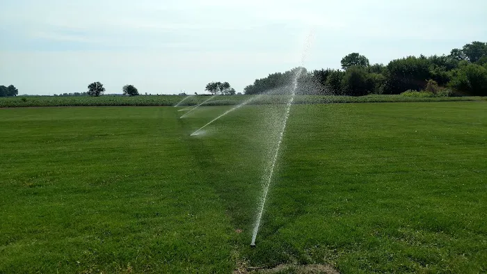 Green Light Lawn Care Inc Picture 3