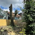 QM Professional & services LLC