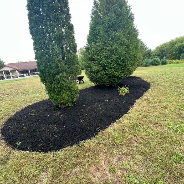 QM Professional & services LLC Picture 9