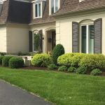 Nature's Terrain, Inc.