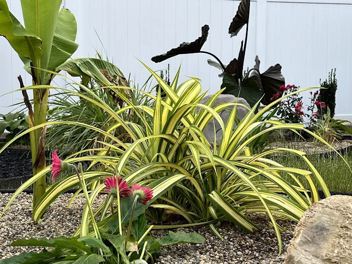 Lawn & Shrub Inc Picture 7