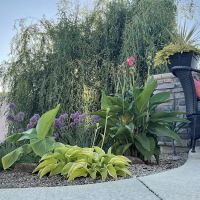 Lawn & Shrub Inc ico