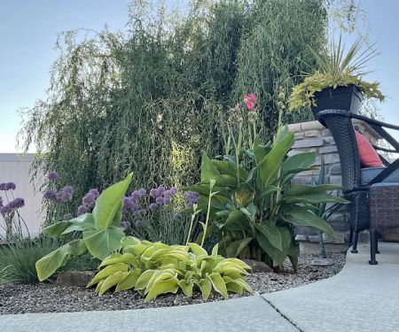Lawn & Shrub Inc