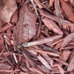 Van Dame Outdoor Maintenance