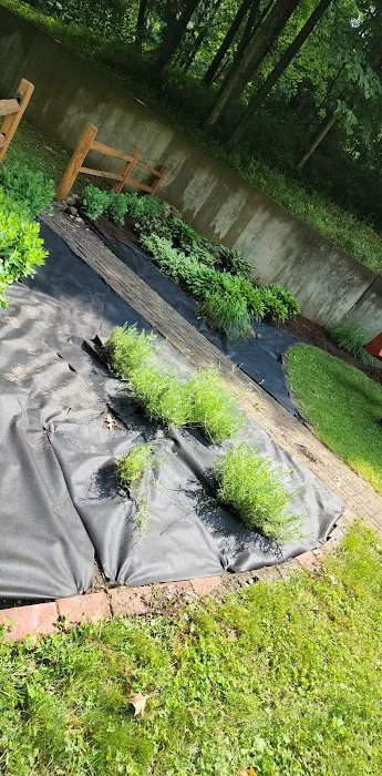 Cortez Lawn Care Picture 2