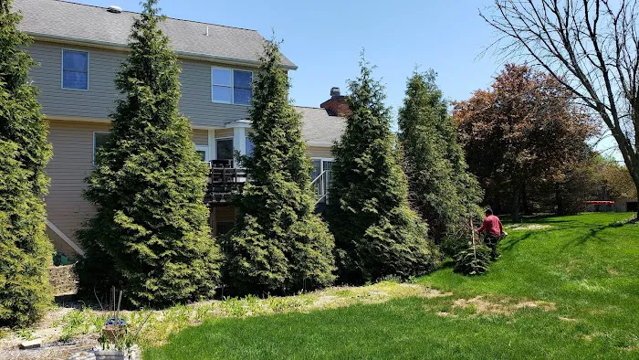 Cortez Lawn Care Picture 6
