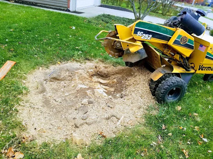 Redlawns Lawn & Landscape LLC Picture 8