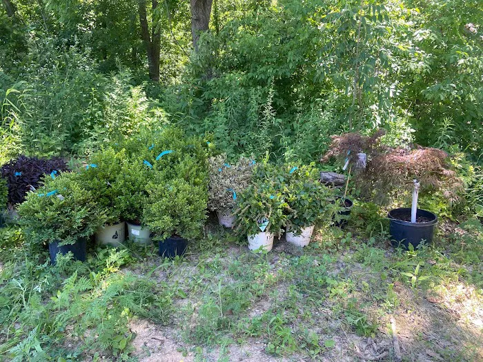 Redlawns Lawn & Landscape LLC Picture 6