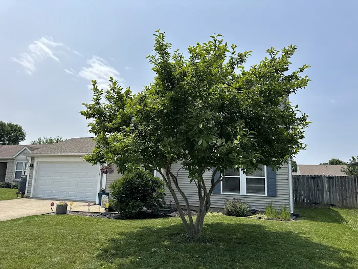CLH LAWN & LANDSCAPE, LLC. Picture 5