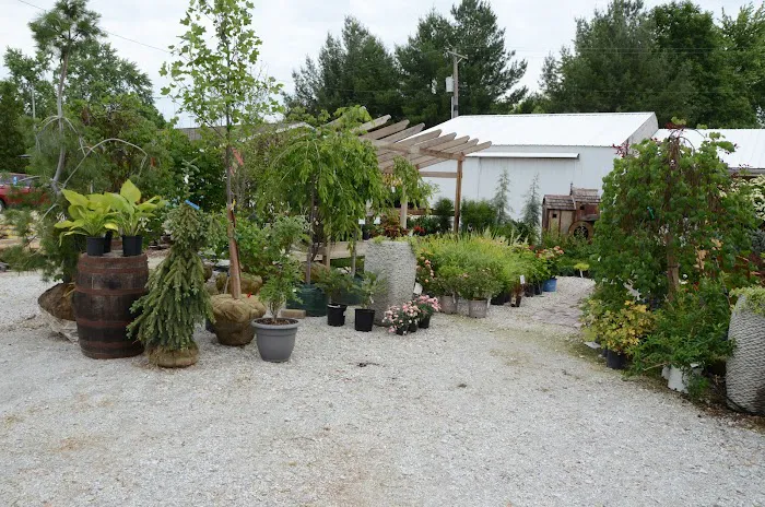 Thomason Landscape & Design Picture 2