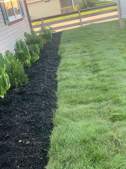 Promised Land Construction Landscaping Inc Picture 2