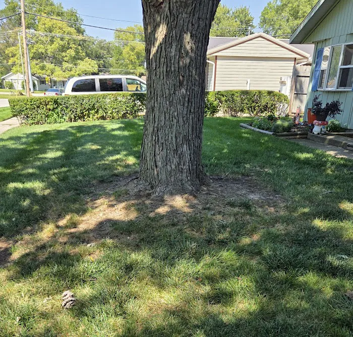 Wrede Rocks and Mulch Picture 9