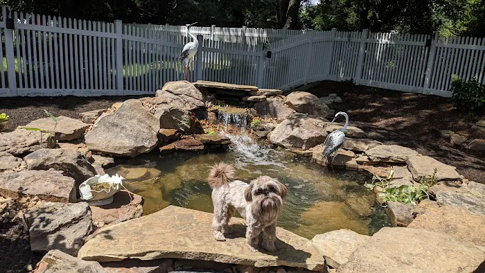 Trademarc Landscaping Picture 3