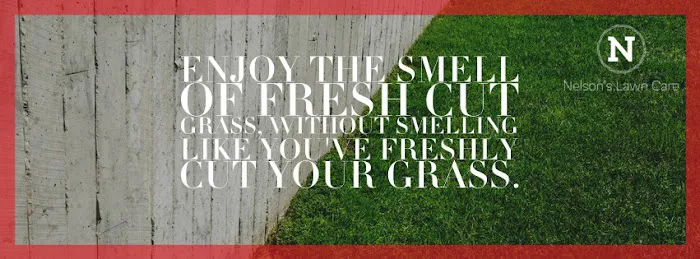Nelson's Lawn Care Picture 5