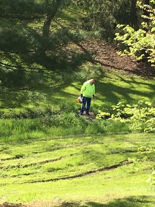 All Faze Lawn Care Service llc Picture 10