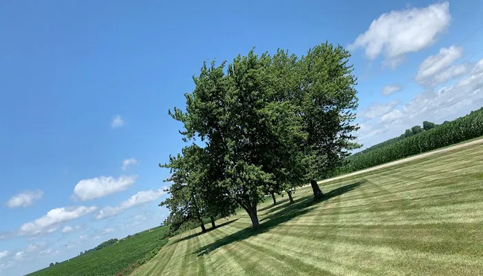 Rice Stripes Lawncare LLC Picture 6