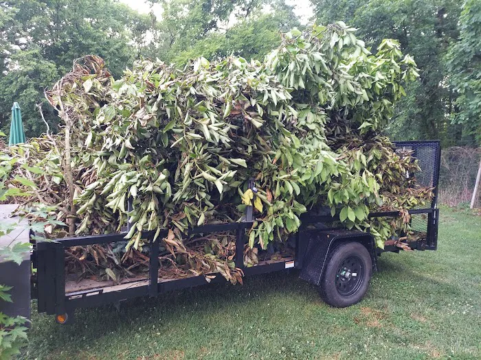 RNC Outdoor Services Picture 4