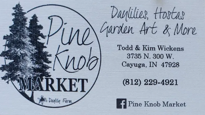 Pine Knob Market Picture 3