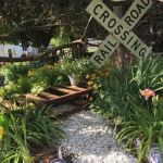 Pine Knob Market